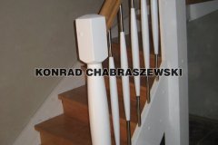 Obraz 1095 (Kopiowanie)