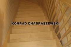 Obraz 1077 (Kopiowanie)