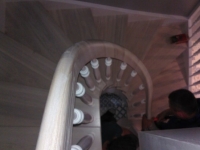 WP_001046