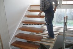 Obraz 726 (Kopiowanie)