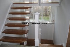 Obraz 730 (Kopiowanie)
