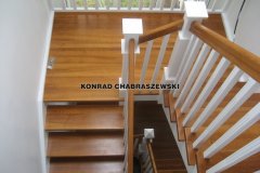 Obraz 739 (Kopiowanie)