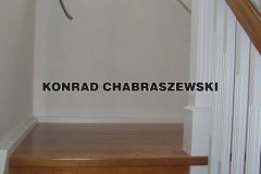 Obraz 743 (Kopiowanie)
