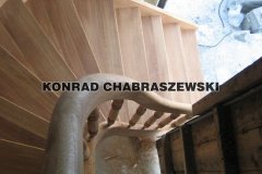 Obraz 1294 (Kopiowanie)