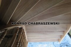 Obraz 1297 (Kopiowanie)