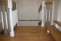 Obraz 1083 (Kopiowanie)