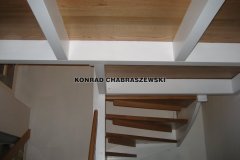 Obraz 1087 (Kopiowanie)