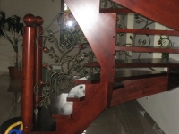 Obraz 250 (Kopiowanie)