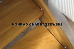 Obraz 224 (Kopiowanie)