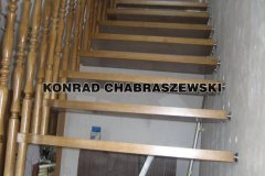 Obraz 230 (Kopiowanie)