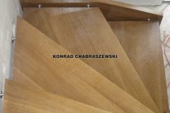 Obraz 231 (Kopiowanie)