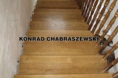 Obraz 233 (Kopiowanie)