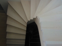 WP_000436